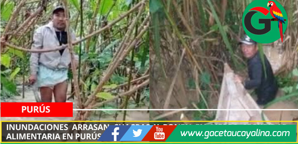 Inundaciones arrasan chacras y ponen en riesgo seguridad alimentaria en Purús