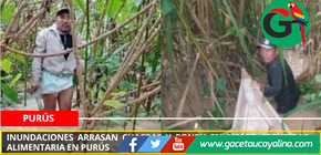 Inundaciones arrasan chacras y ponen en riesgo seguridad alimentaria en Purús