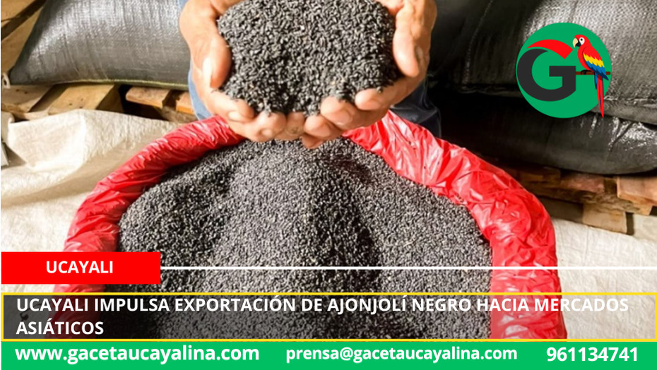 Ucayali impulsa exportación de ajonjolí negro hacia mercados asiáticos.