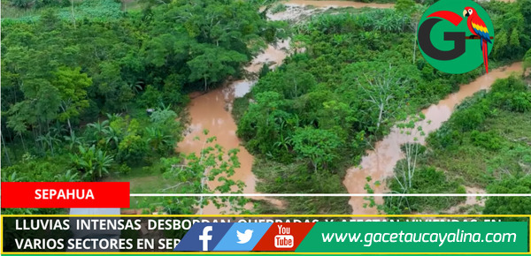 Lluvias intensas desbordan quebradas y afectan viviendas en varios sectores en Sepahua