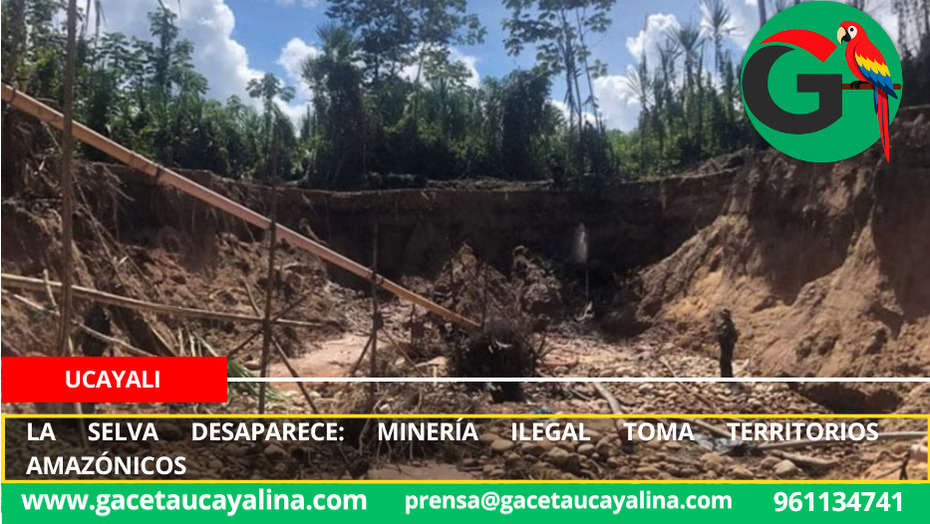 Alarmante deforestación por minería ilegal en dos regiones amazónicas