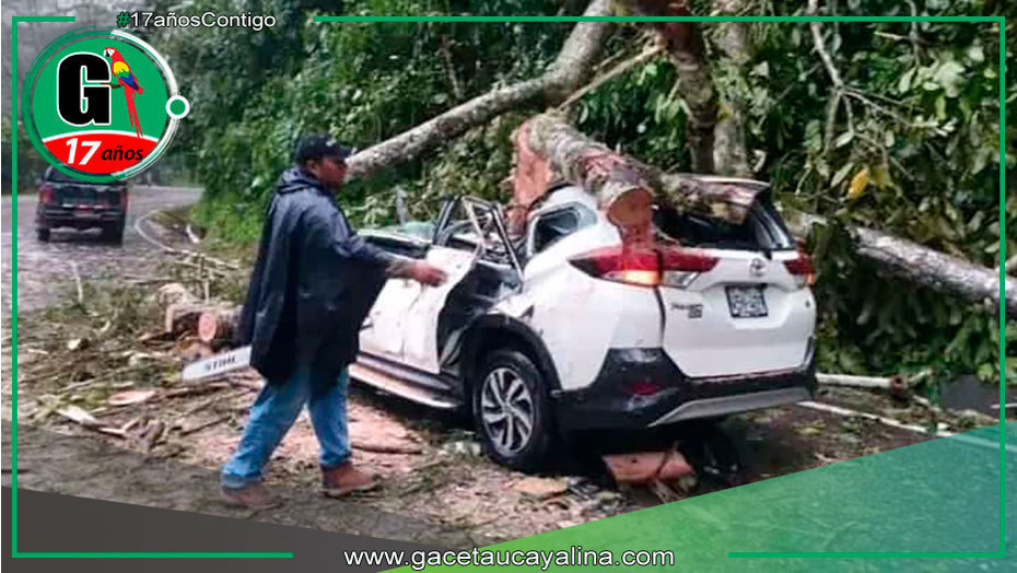 Seis heridos, dos graves, tras caída de árbol en carretera de Pasco
