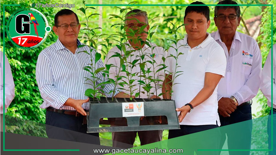 Cocinas ecológicas combaten deforestación en Madre de Dios
