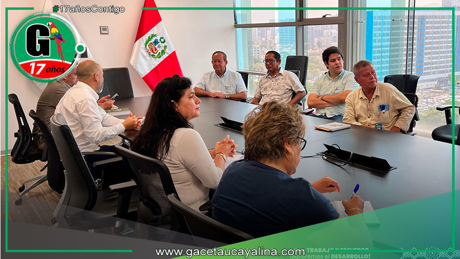 Alcalde de Atalaya propone defensas con bambú