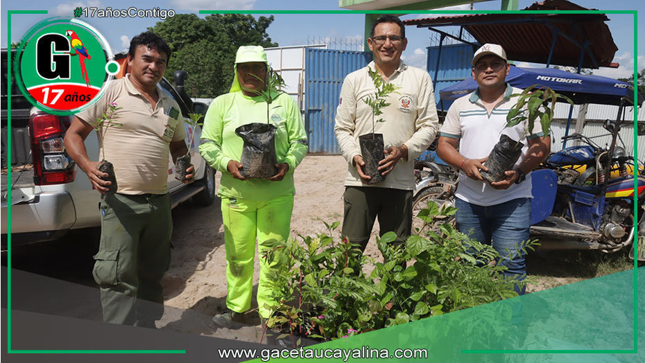 Donan plantones por aniversario de Sierra del Divisor en Contamana
