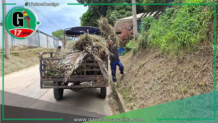Municipalidad realiza mantenimiento de áreas verdes en Contamana