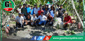 Cacaoteros combaten plaga con apoyo técnico articulado y constante en Sepahua