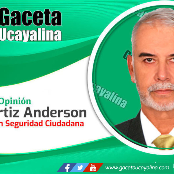 La inseguridad ciudadana continua incrementandose y los daños en vidas humanas multiplicandose