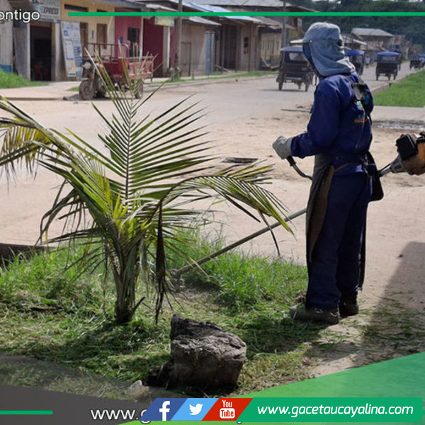 Municipalidad de Ucayali recupera áreas verdes en Contamana