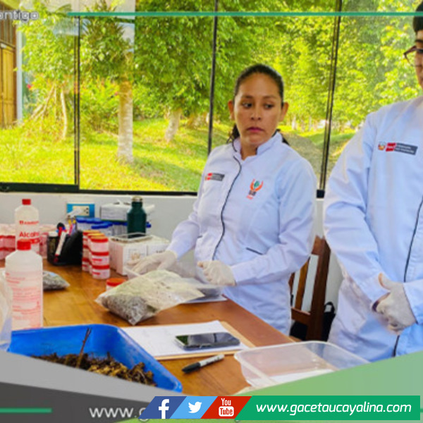 IIAP impulsa ciencia amazónica desde Madre de Dios con alianzas clave, laboratorios renovados y proyectos sostenibles