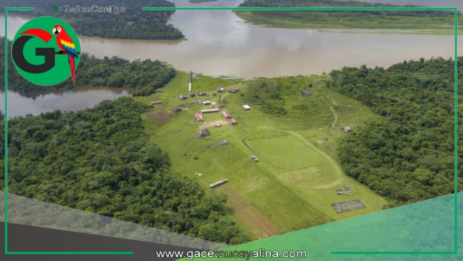 Perú ha perdido más de 3 millones de hectáreas de bosque amazónico en dos décadas