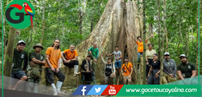 Día de los Bosques Tropicales: expertos escalan árboles gigantes en Madre de Dios para proteger la vida desde las alturas