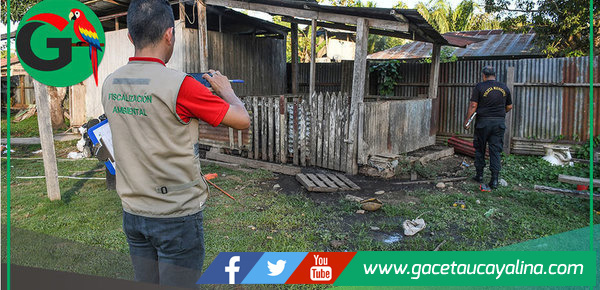 Municipio inspecciona corrales y exige traslado en tres meses en Sepahua