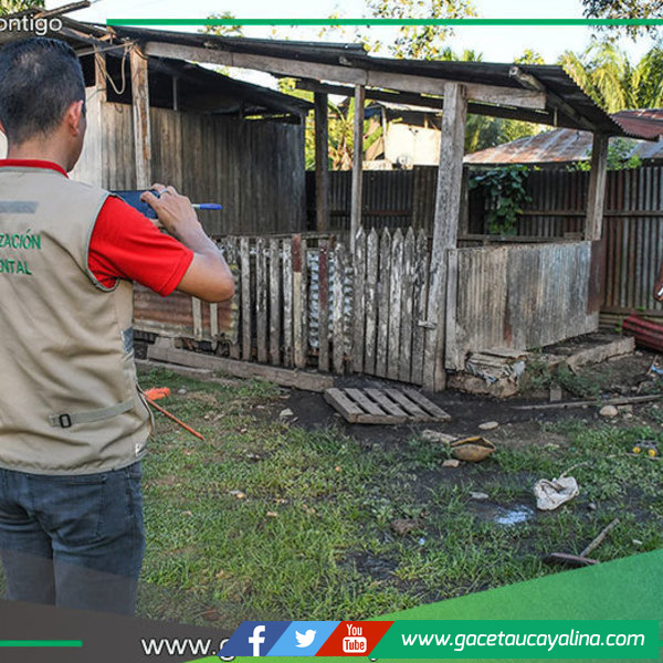 Municipio inspecciona corrales y exige traslado en tres meses en Sepahua