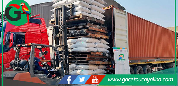 Ucayali exporta 175 toneladas de cacao a tres países