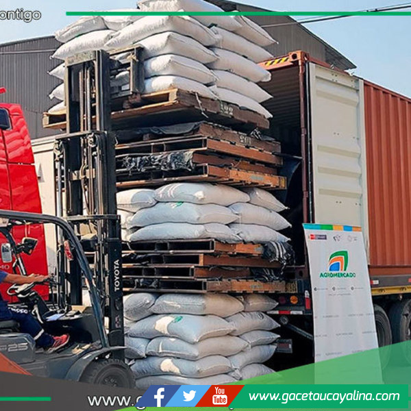 Ucayali exporta 175 toneladas de cacao a tres países