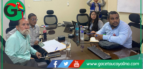 Planta fotovoltaica iniciará construcción en cinco meses en Contamana