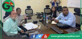 Planta fotovoltaica iniciará construcción en cinco meses en Contamana