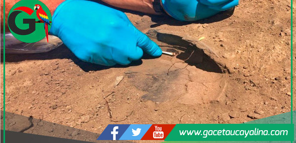 Arqueólogos hallan evidencia de cacao milenario en Amazonas peruano