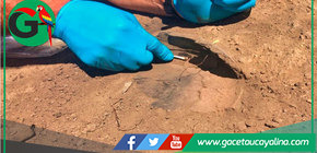 Arqueólogos hallan evidencia de cacao milenario en Amazonas peruano