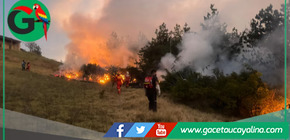Incendio arrasa más de 200 hectáreas en Amazonas y pone en alerta a población local