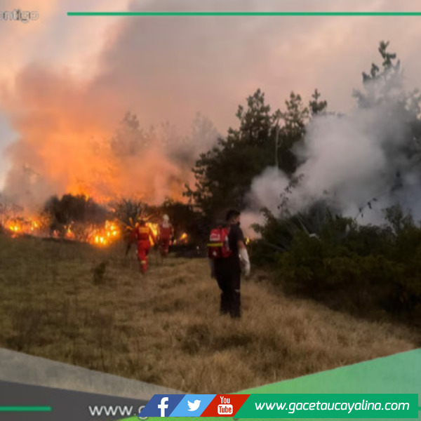 Incendio arrasa más de 200 hectáreas en Amazonas y pone en alerta a población local