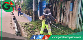 Municipalidad de Ucayali - Contamana mejora áreas verdes en vías principales