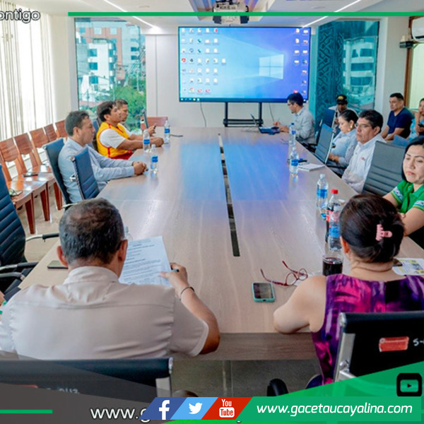 COPROSEC acuerda combatir pandillaje juvenil en Coronel Portillo