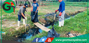 Barrio Manuel E. Rojas participa en gran minga comunal en Contamana