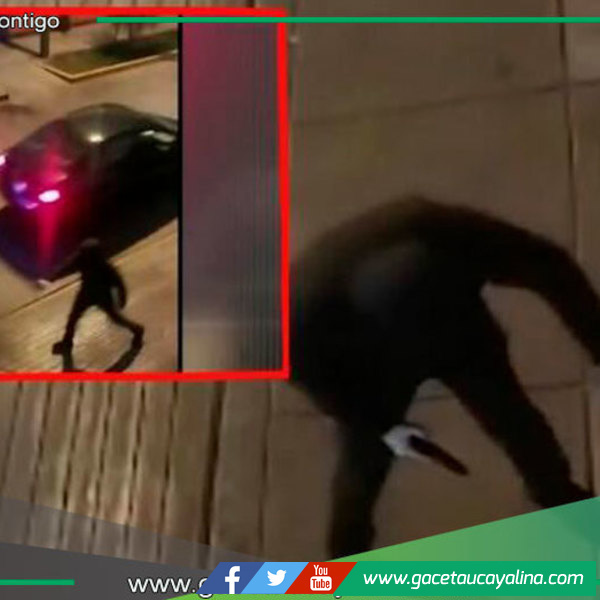 Violento robo armado contra joven tras retiro bancario en Tingo María