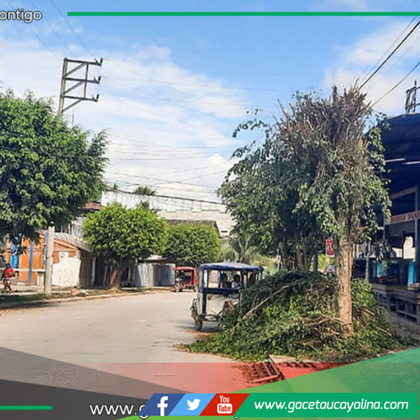 Municipalidad de Sepahua coordina mantenimiento urbano con intervención especializada