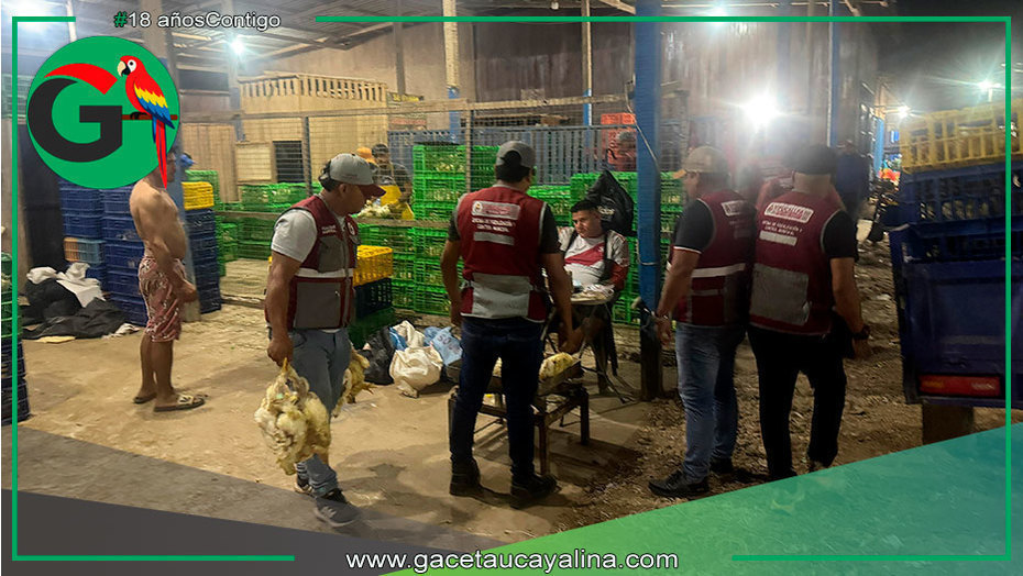 Municipio decomisa pollos e interviene estructuras en operativo de limpieza en Pucallpa