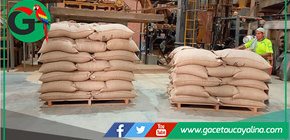 Ucayali celebra exportación histórica de café orgánico de calidad