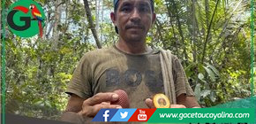 Aguaje se convierte en motor de desarrollo para comunidad amazónica sostenible