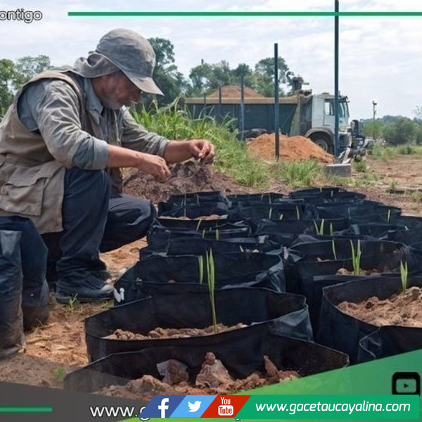 Sepahua transforma residuos en vida con biohuerto municipal sostenible