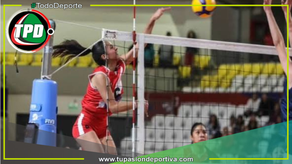 Perú cayó ante Brasil y jugará por el tercer lugar del Sudamericano Sub 17