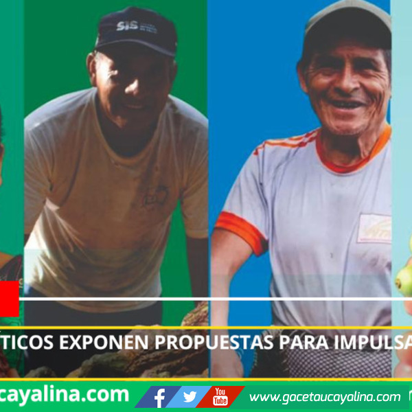 Partidos políticos exponen propuestas para impulsar café y cacao sostenibles