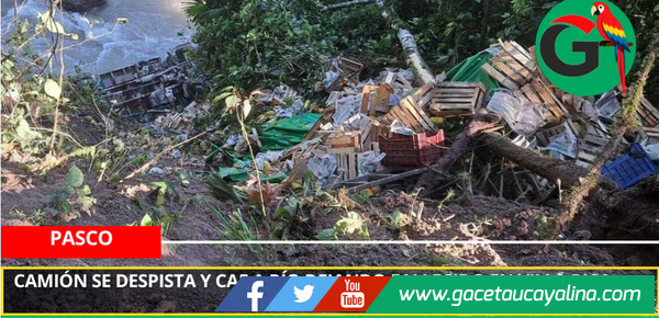 Camión se despista y cae a río dejando fallecido en Villa Rica