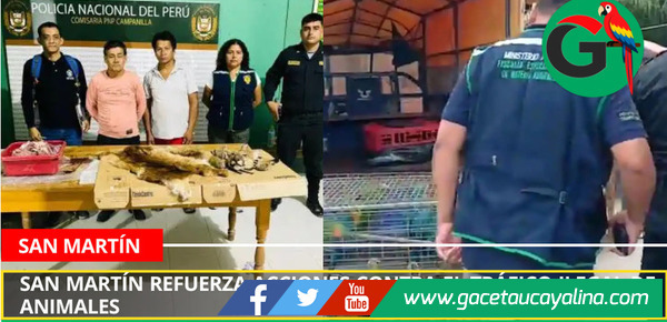San Martín refuerza acciones contra el tráfico ilegal de animales