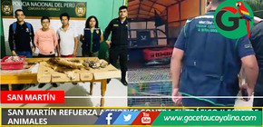 San Martín refuerza acciones contra el tráfico ilegal de animales