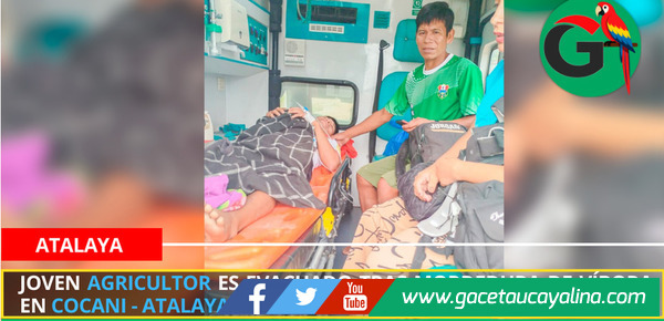 Joven agricultor es evacuado tras mordedura de víbora en Cocani - Atalaya