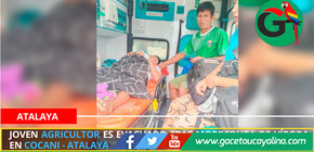 Joven agricultor es evacuado tras mordedura de víbora en Cocani - Atalaya