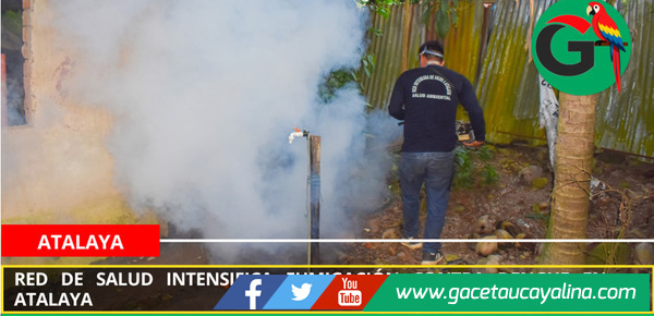 Red de Salud intensifica fumigación contra dengue en Atalaya