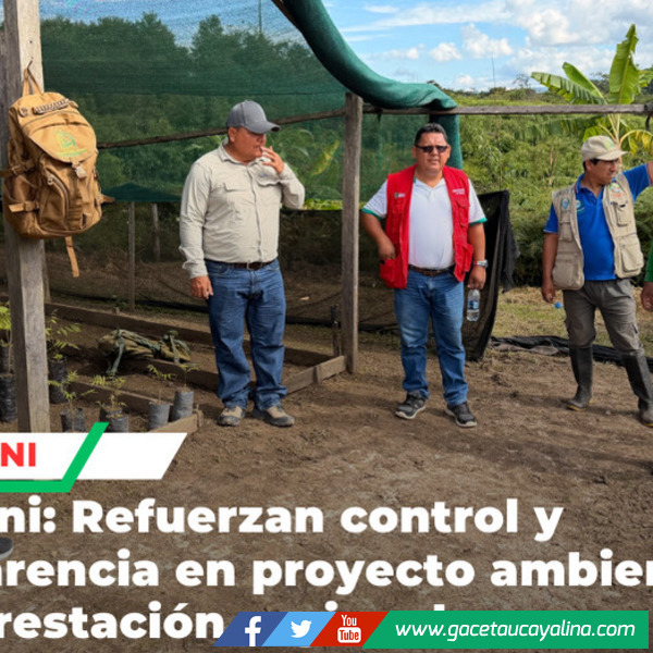 Autoridades supervisan en Oventeni avance de proyecto de reforestación en Ucayali amazónico