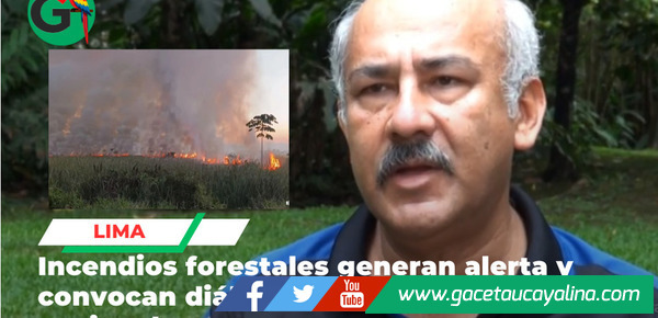 Expertos analizan incendios forestales que afectan gravemente la Amazonía peruana