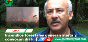 Expertos analizan incendios forestales que afectan gravemente la Amazonía peruana