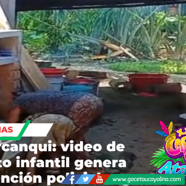 Madre es detenida tras agredir brutalmente a su hijo menor en Amazonas