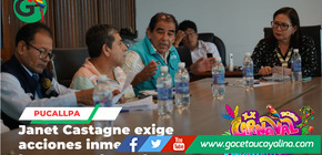 Alcaldesa Janet Castagne lidera solución a buzones colapsados