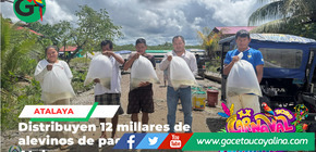 Entregan alevinos para fortalecer piscicultura en Atalaya
