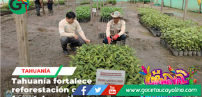Supervisan traslado de plantones en Tahuanía para reforestación